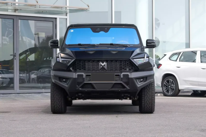 Imgi 4 M Hero 917 EV 2023 appearance