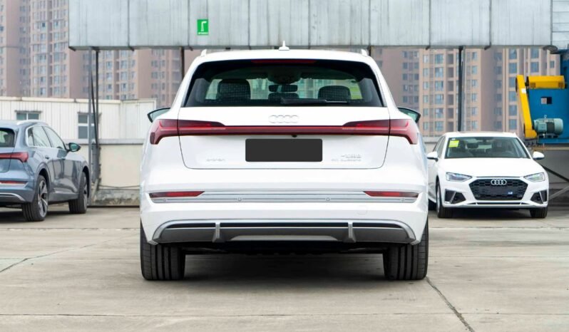 
								Audi e-tron full									